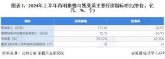 2024年医药制造外包行业